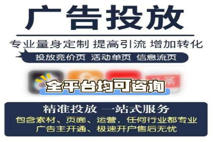 某行业领军企业的SEM广告投放策略